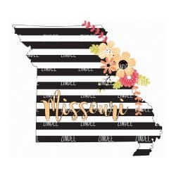 Black White Stripe Missouri (download)