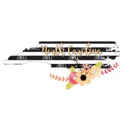 Black White Stripe North Carolina (download)