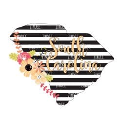 Black White Stripe South Carolina (download)