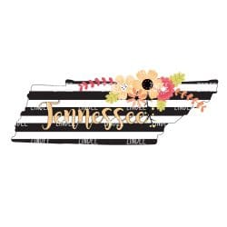 Black White Stripe Tennessee (download)