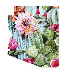 Cactus State Arizona (download)