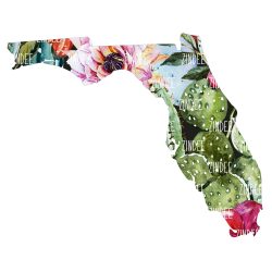 Cactus State Florida (download)