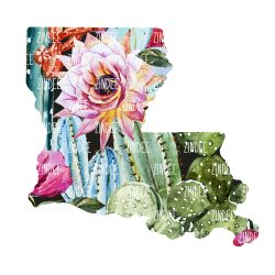 Cactus State Louisiana (download)