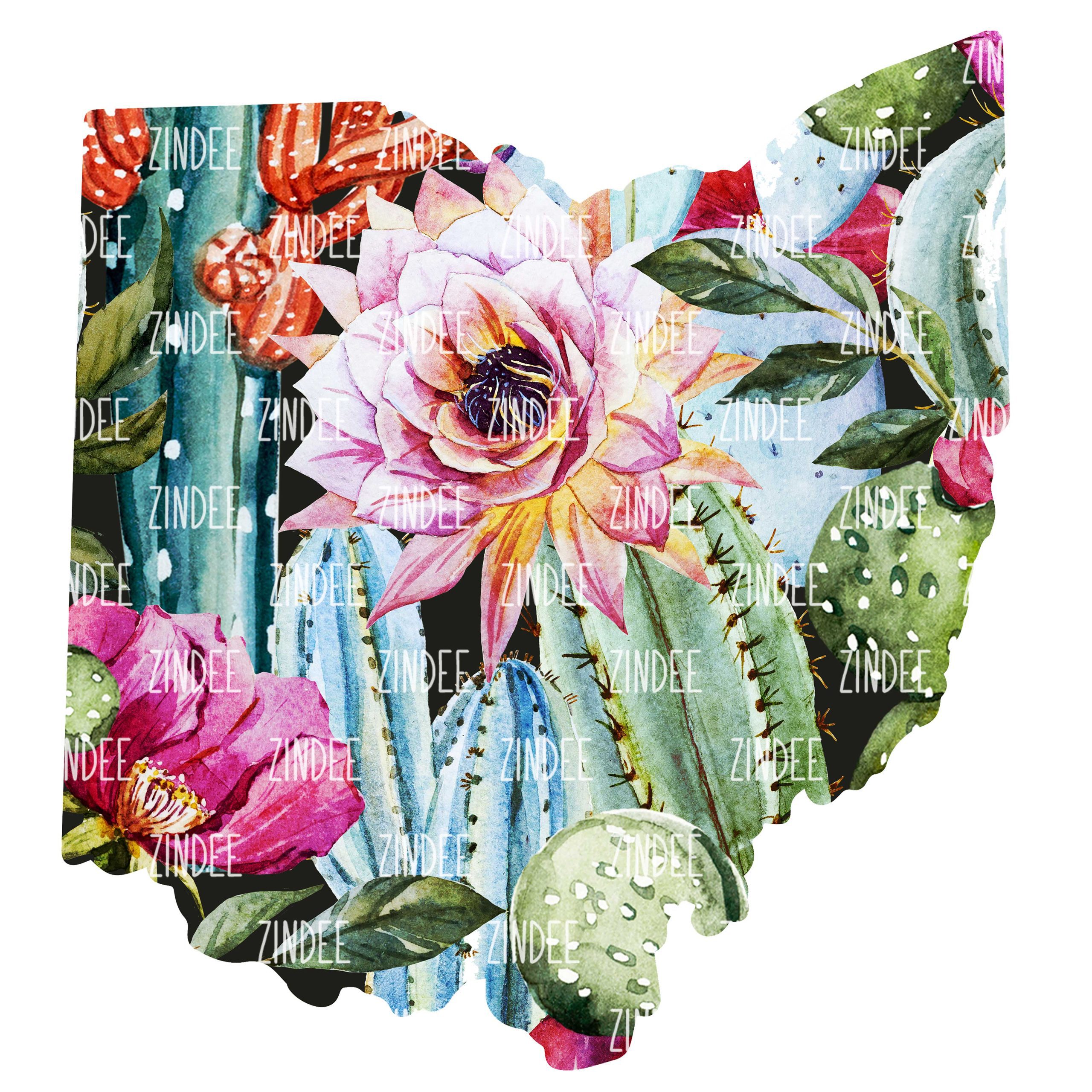 Cactus State Ohio (download)