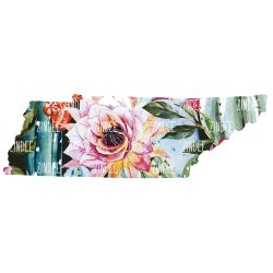 Cactus State Tennessee (download)