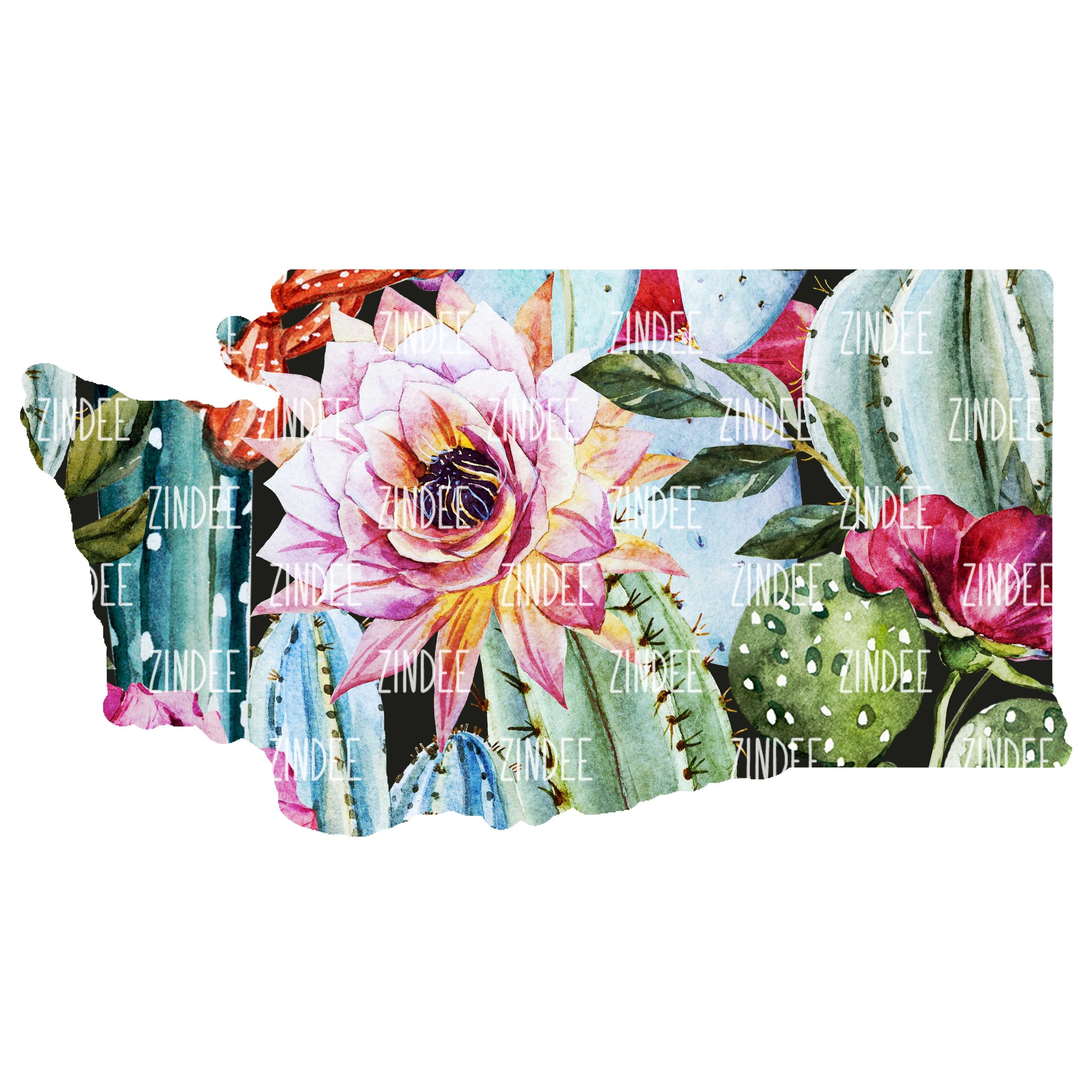 Cactus State Washington (download)