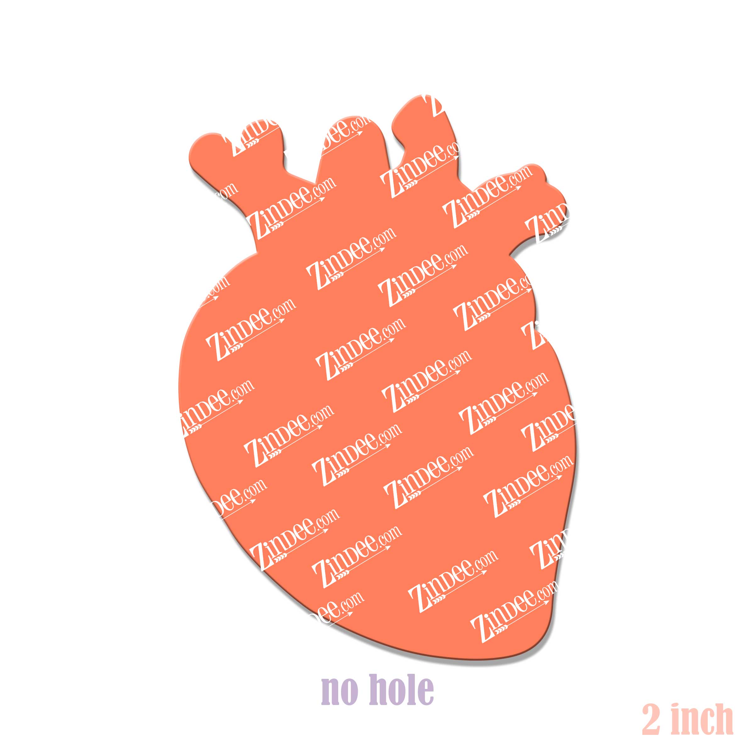 Anatomical Heart 2 inch (lightweight acrylic) NO HOLE