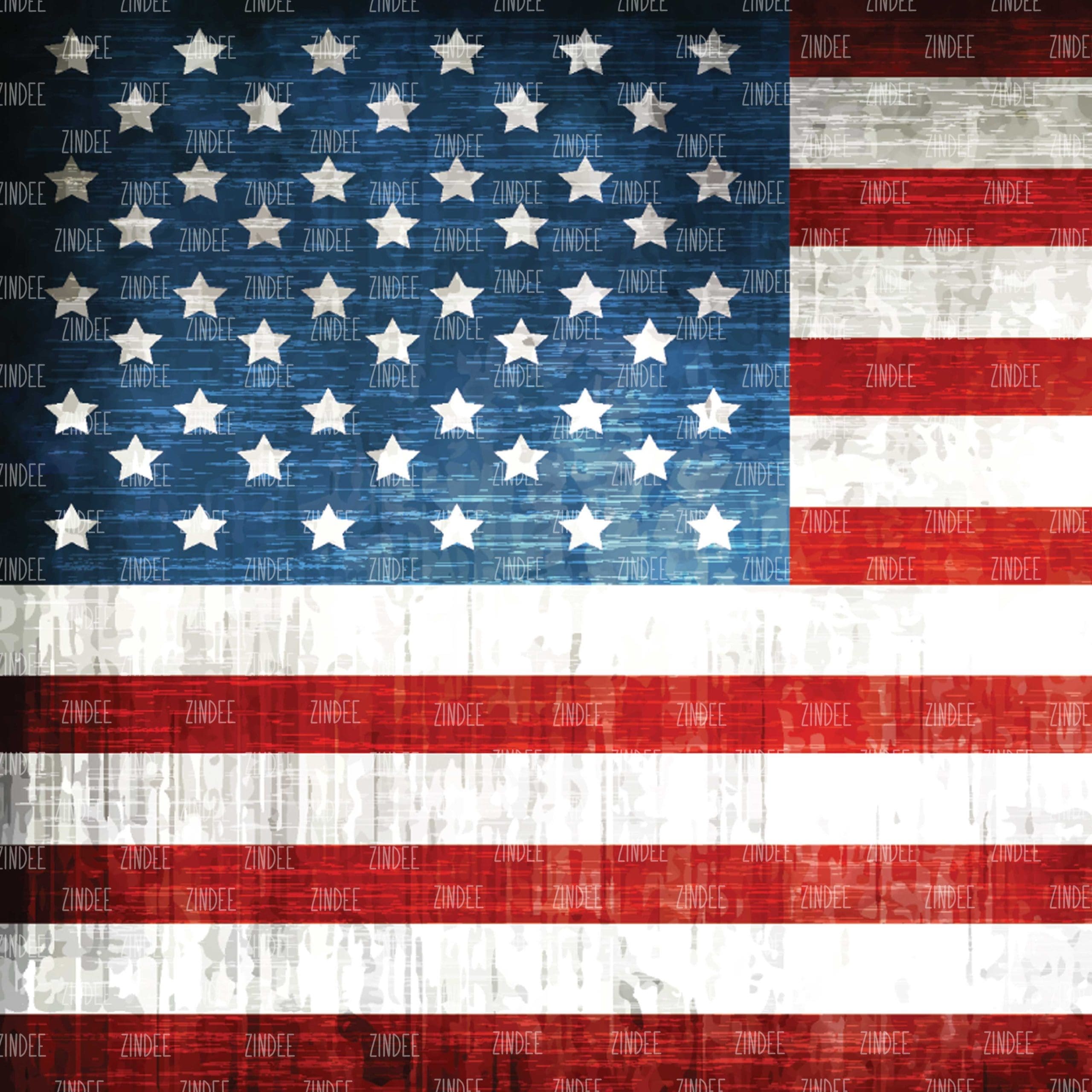 Flag American Grunge (vinyl)