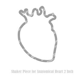 Anatomical Heart Shaker Piece (2 inch)