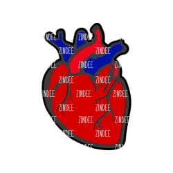 Anatomical Heart – Acrylic Badge Reel Blank (2") No Hole | Optional Sticker or UV DTF