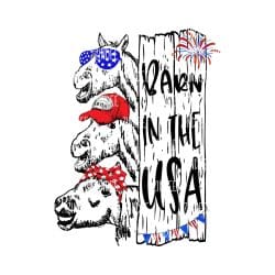 Barn in the USA (Sublimation Transfer)