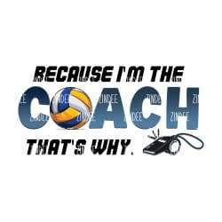 Because I'm the Coach Volleyball (download)