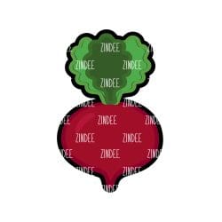 Beet/Turnip acrylic blank (3 inch) - Image 2