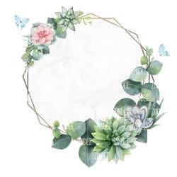 Blank Succulent Frame (download)