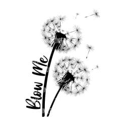 Blow Me (download)