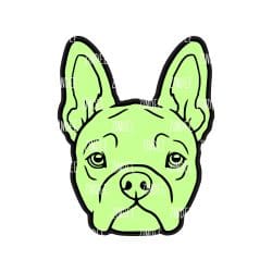 Boston Terrier Head acrylic blank (2 inch) NO HOLE - Image 2