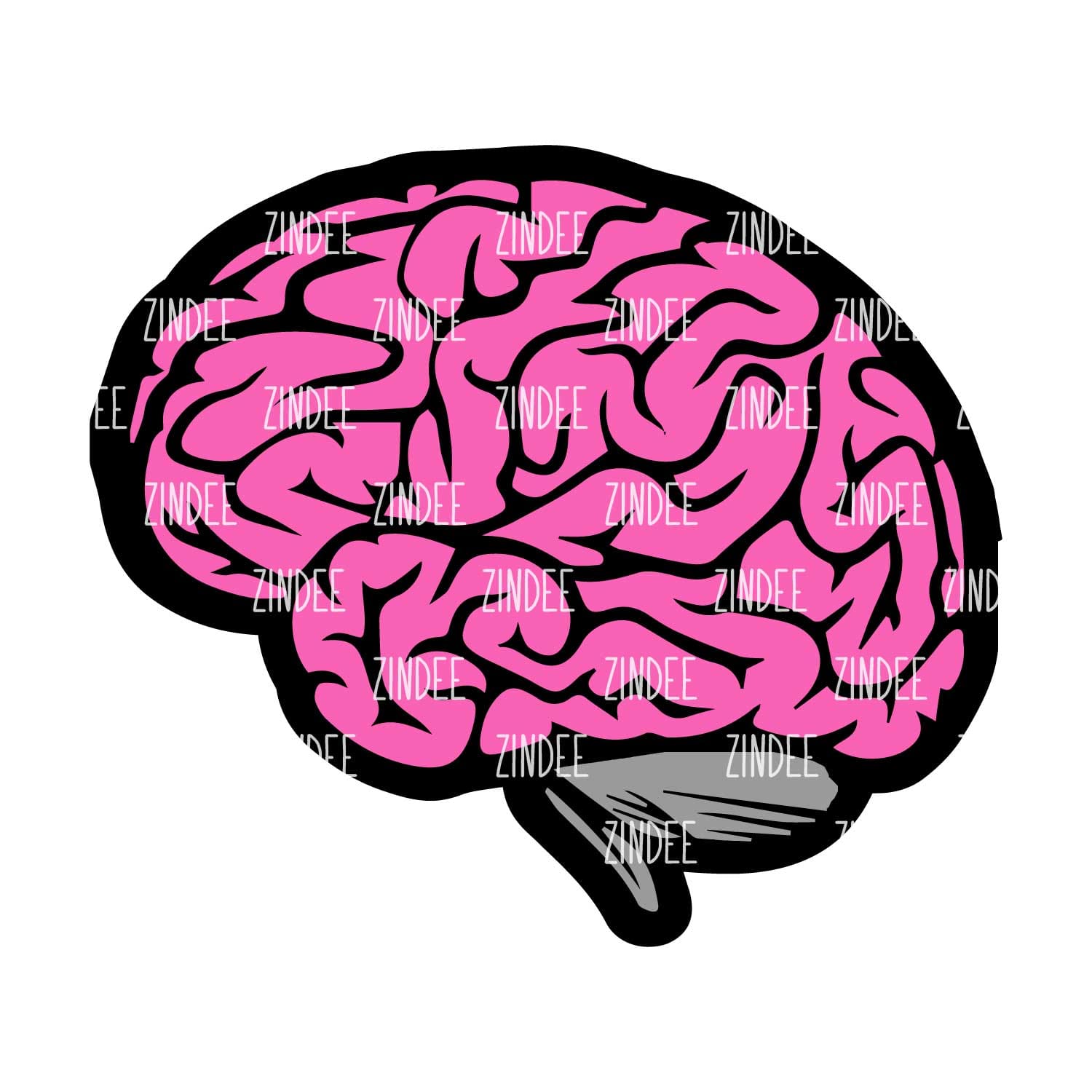 Brain Side View Acrylic Blank- Sticker- UV DTF (2 inch) NO HOLE