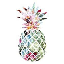 Cactus Pineapple (Sublimation Transfer)