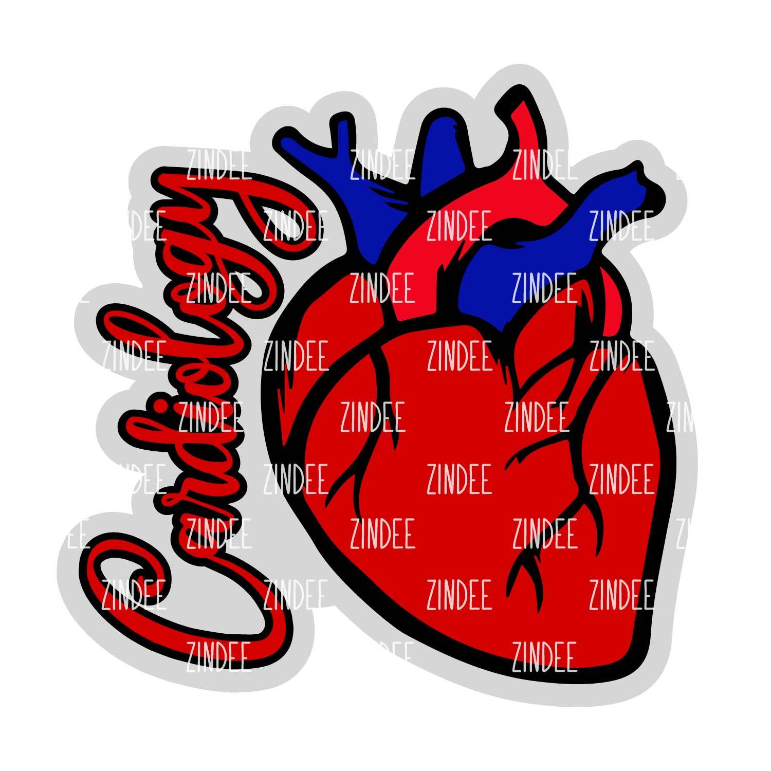 Cardiology Heart Acrylic Blank- Sticker- UV DTF (2 inch) NO HOLE