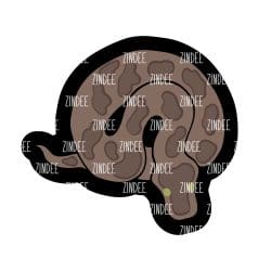 Coiled Snake – Acrylic Keychain Blank (3") | Optional Sticker or UV DTF