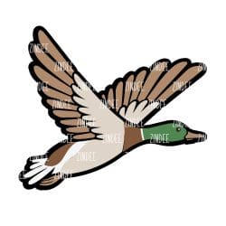 Flying Duck Acrylic Blank- Sticker- UV DTF (2 inch) NO HOLE - Image 2