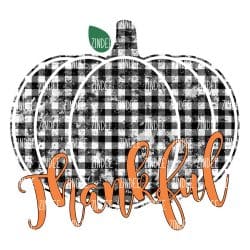 Grunge Plaid Pumpkin Thankful (Sublimation Transfer)