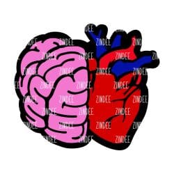Heart Brain Acrylic Blank- Sticker- UV DTF (1.5 inch)