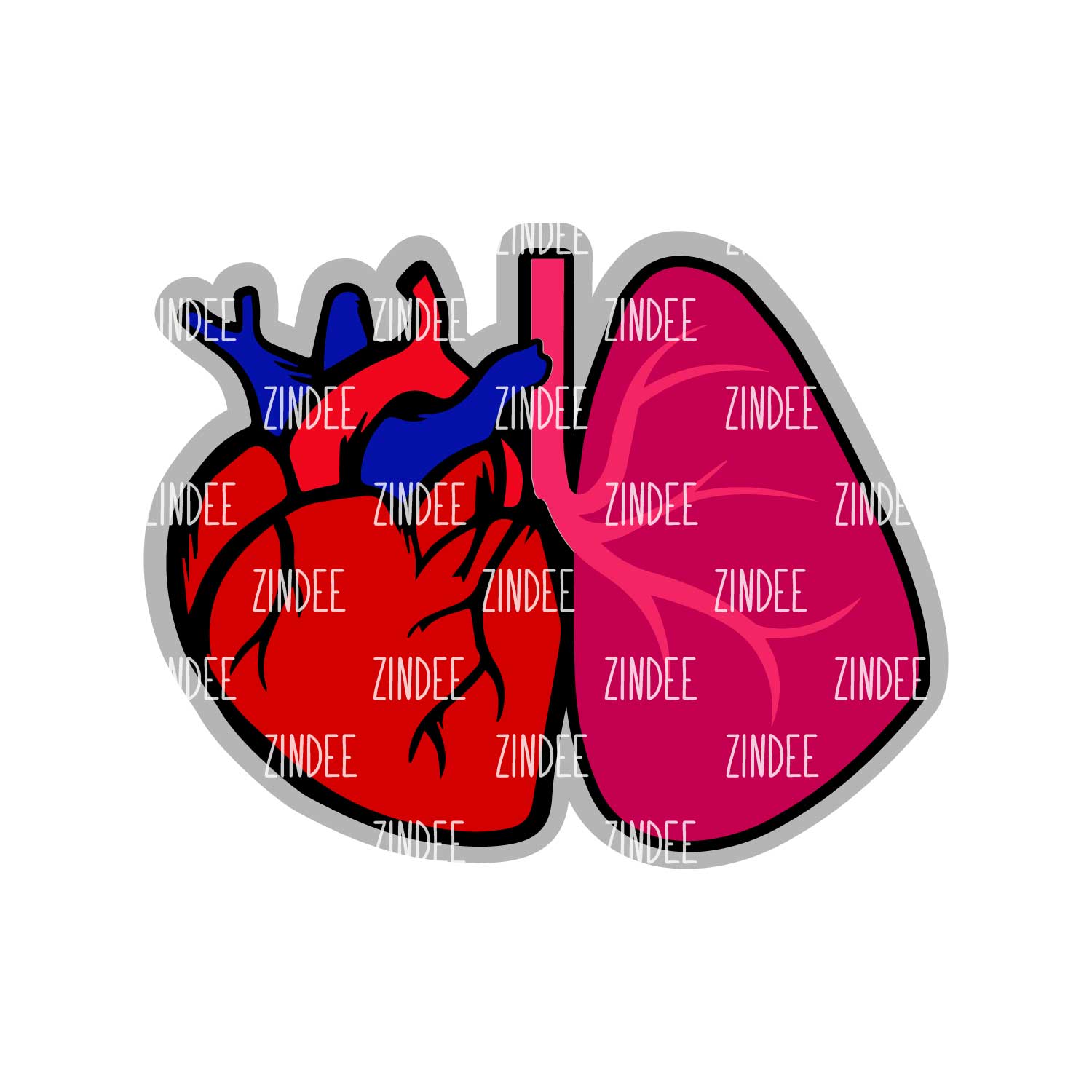Heart Lung Acrylic Blank- Sticker- UV DTF (2.5 inch)