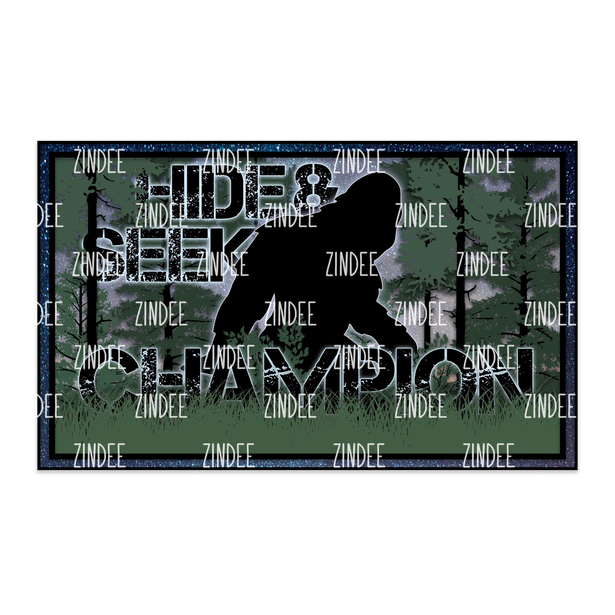 Hide and Seek Champion (download)