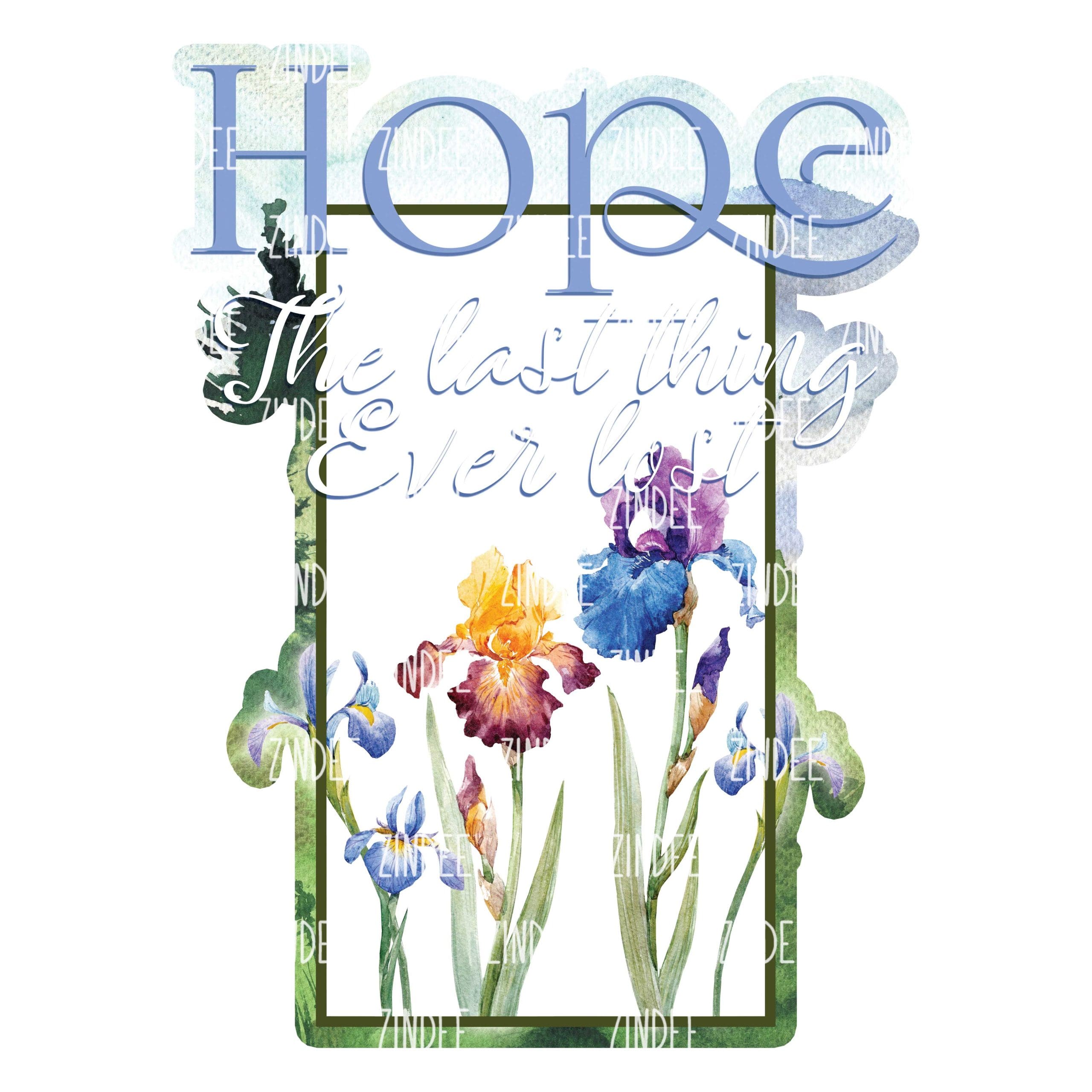 Hope (download)