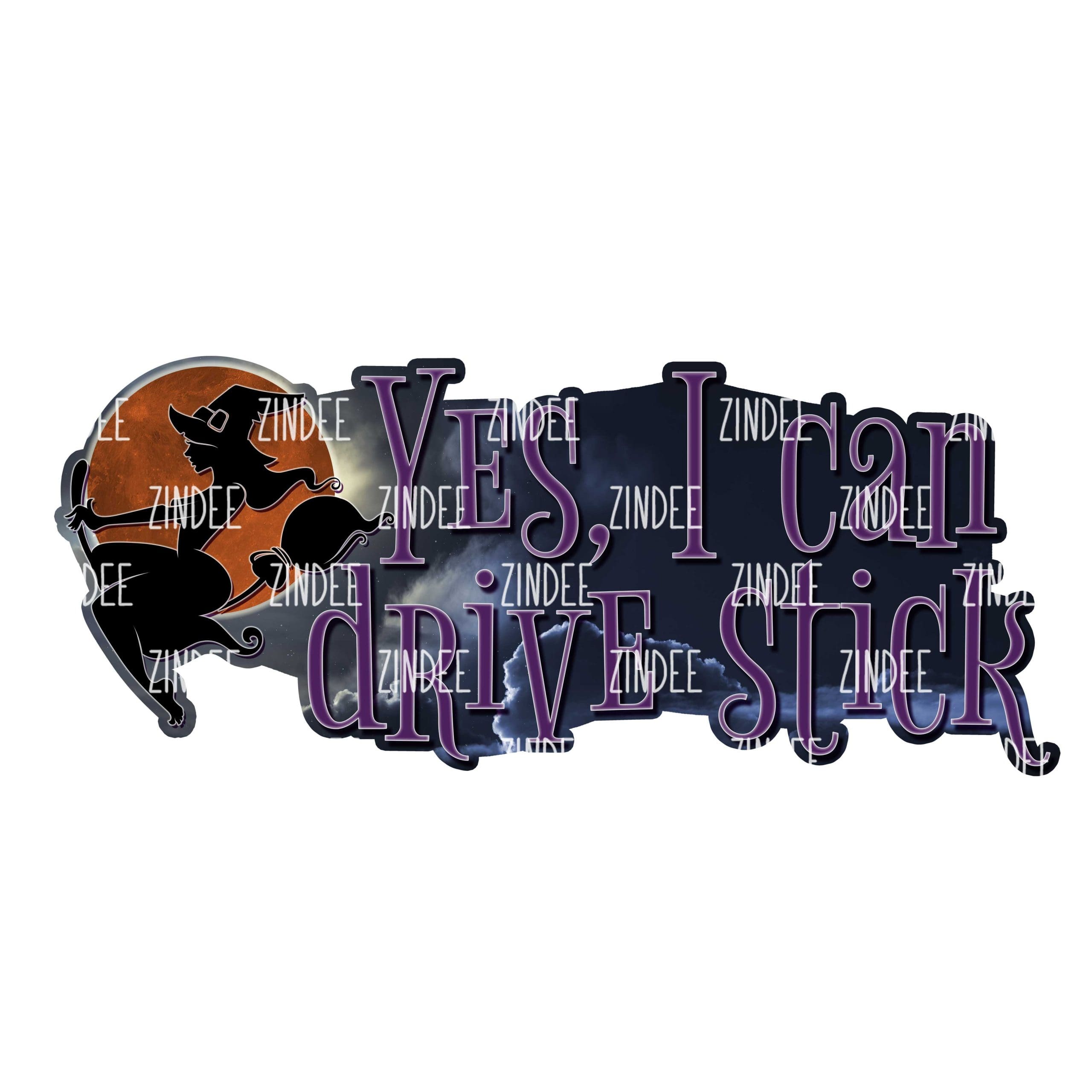 I Can Drive Stick (download)