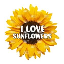 I Love Sunflowers (download)