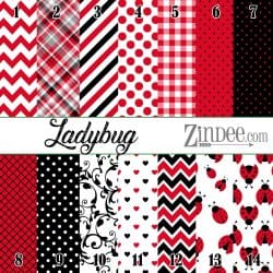 Ladybug (vinyl)