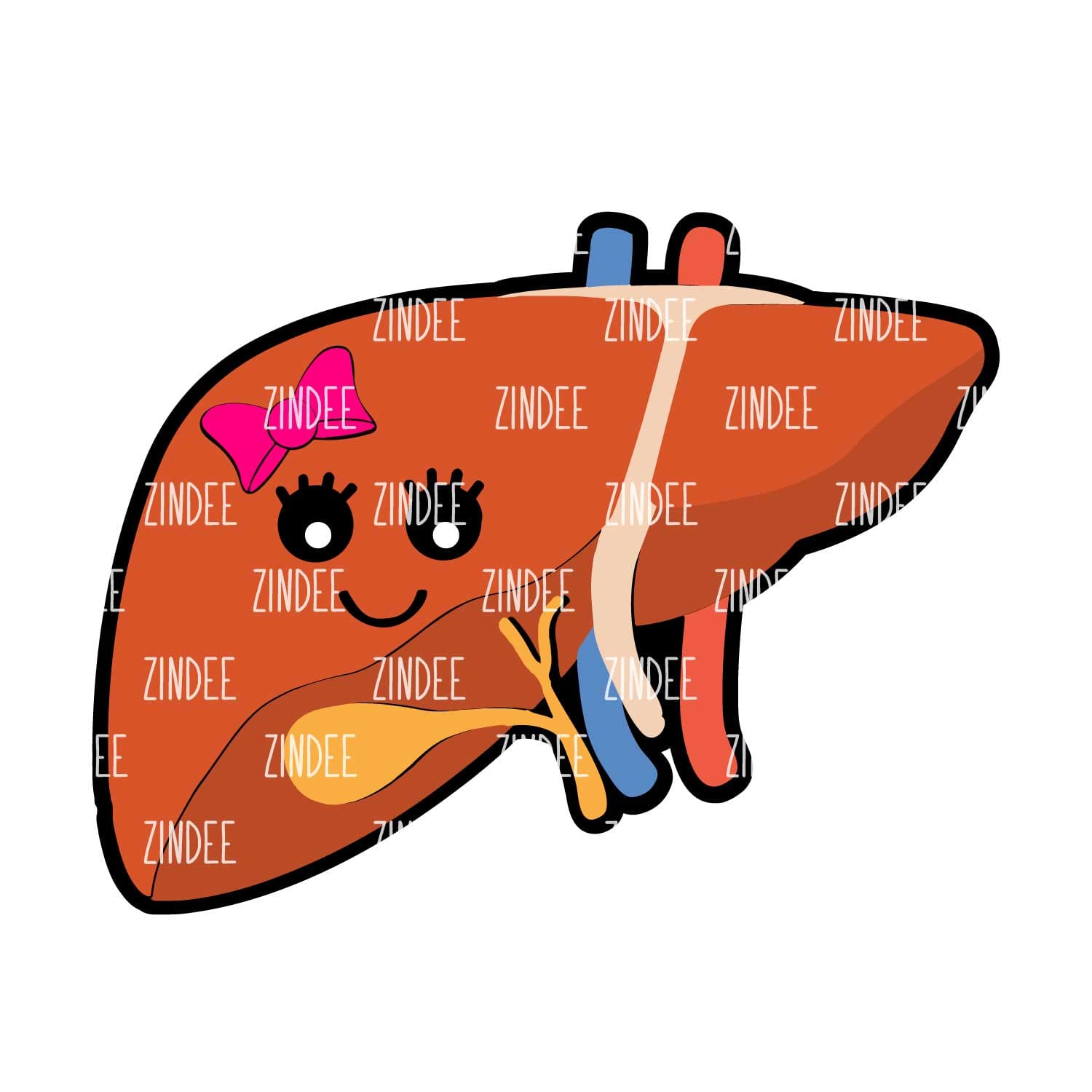 Liver Acrylic Blank- Sticker- UV DTF (2 inch) NO HOLE