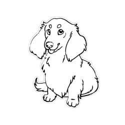 Alternative view of Long Haired Dachshund acrylic blank (3 inch)