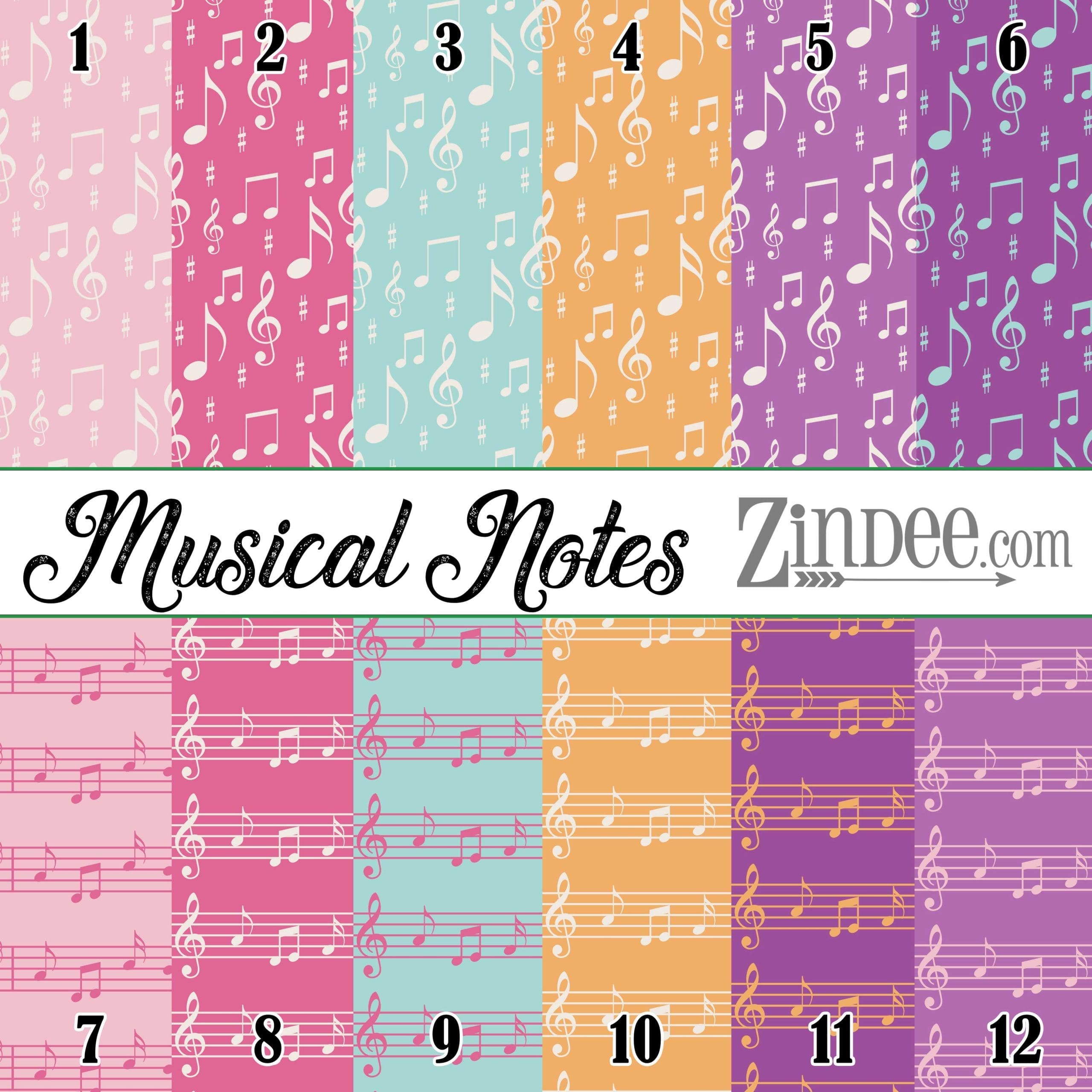 Musical Notes (vinyl)