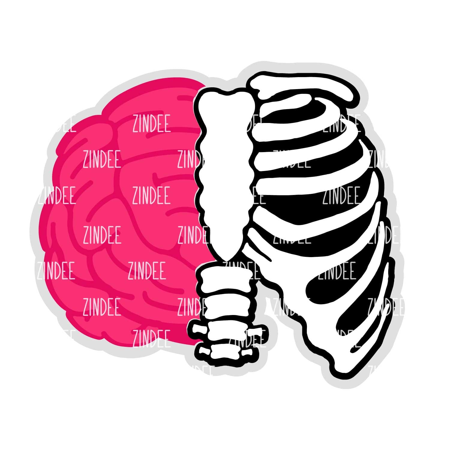 Neuro Ortho (Brain and Bones) Acrylic Blank- Sticker- UV DTF (2 inch) NO HOLE