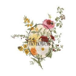 No Rain No Flowers (download)