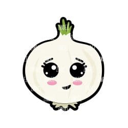 Onion acrylic blank (3 inch) (5 piece minimum) - Image 2
