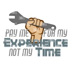 Pay me for my Experience (download)