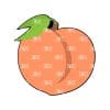 Peach – Acrylic Badge Reel Blank (2") No Hole | Optional Sticker or UV DTF