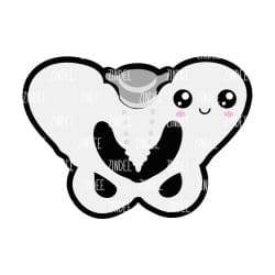Pelvic Bone – Acrylic Badge Reel Blank (2") No Hole | Optional Sticker or UV DTF