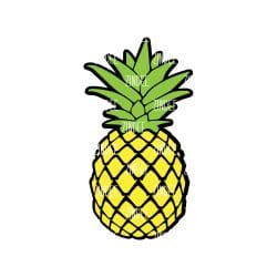 Pineapple Acrylic Blank- Sticker- UV DTF (1.5 inch)