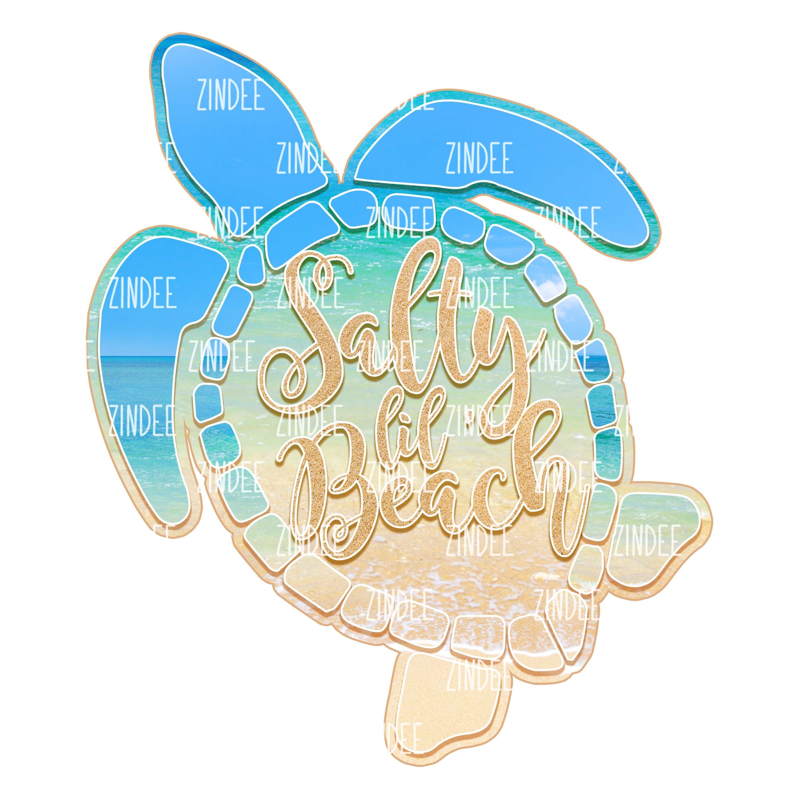 Salty Lil Beach (download)