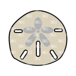 Sand Dollar – Acrylic Badge Reel Blank (2") No Hole | Optional Sticker or UV DTF