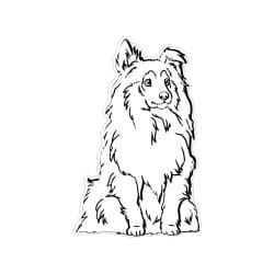 Alternative view of Shetland Sheepdog acrylic blank (3 inch)