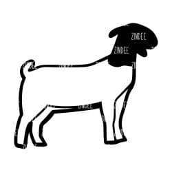 Show Goat – Acrylic Keychain Blank (3") | Optional Sticker or UV DTF