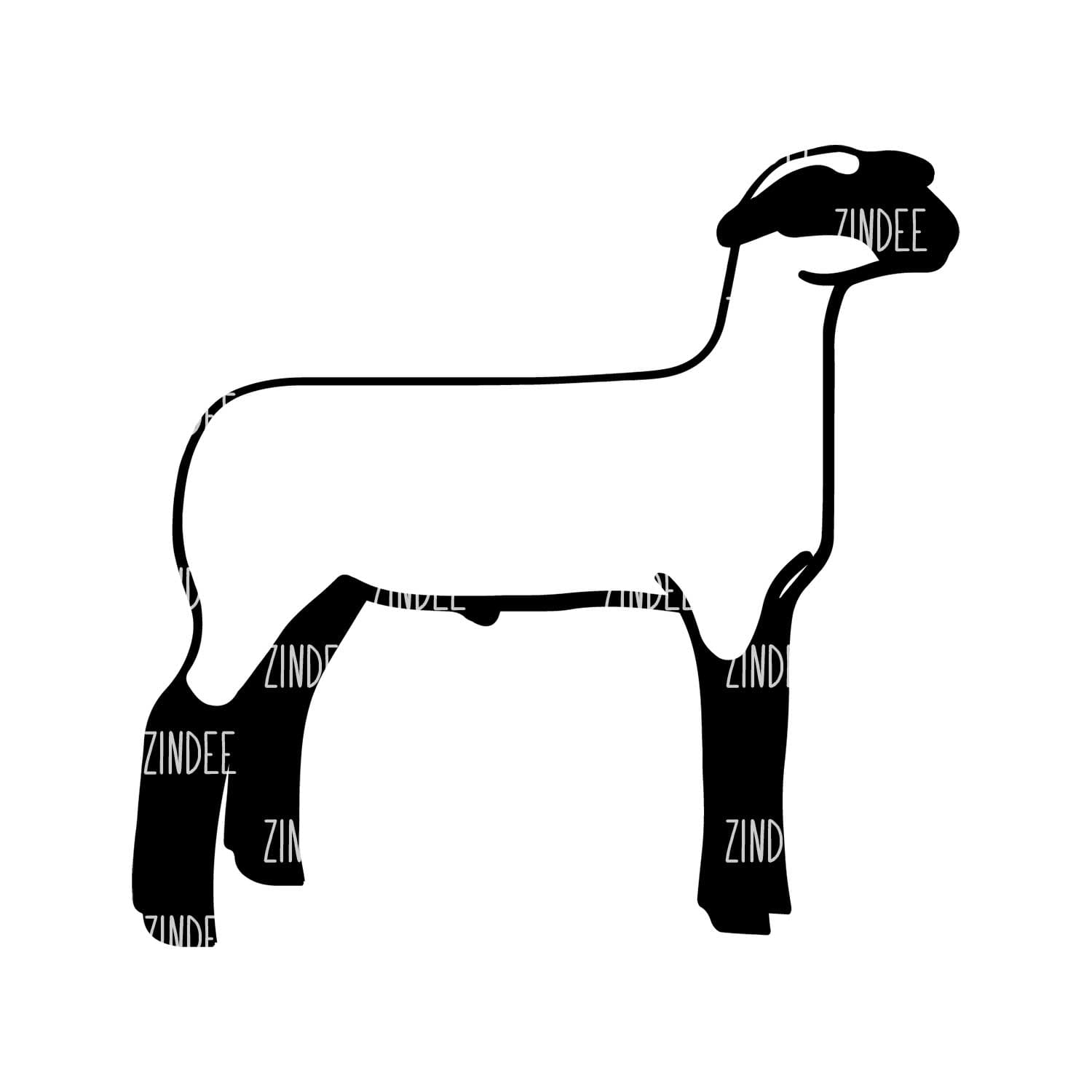 Show Lamb Acrylic Blank- Sticker- UV DTF (3 inch)