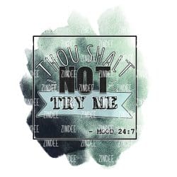 Thou Shalt Not (download)