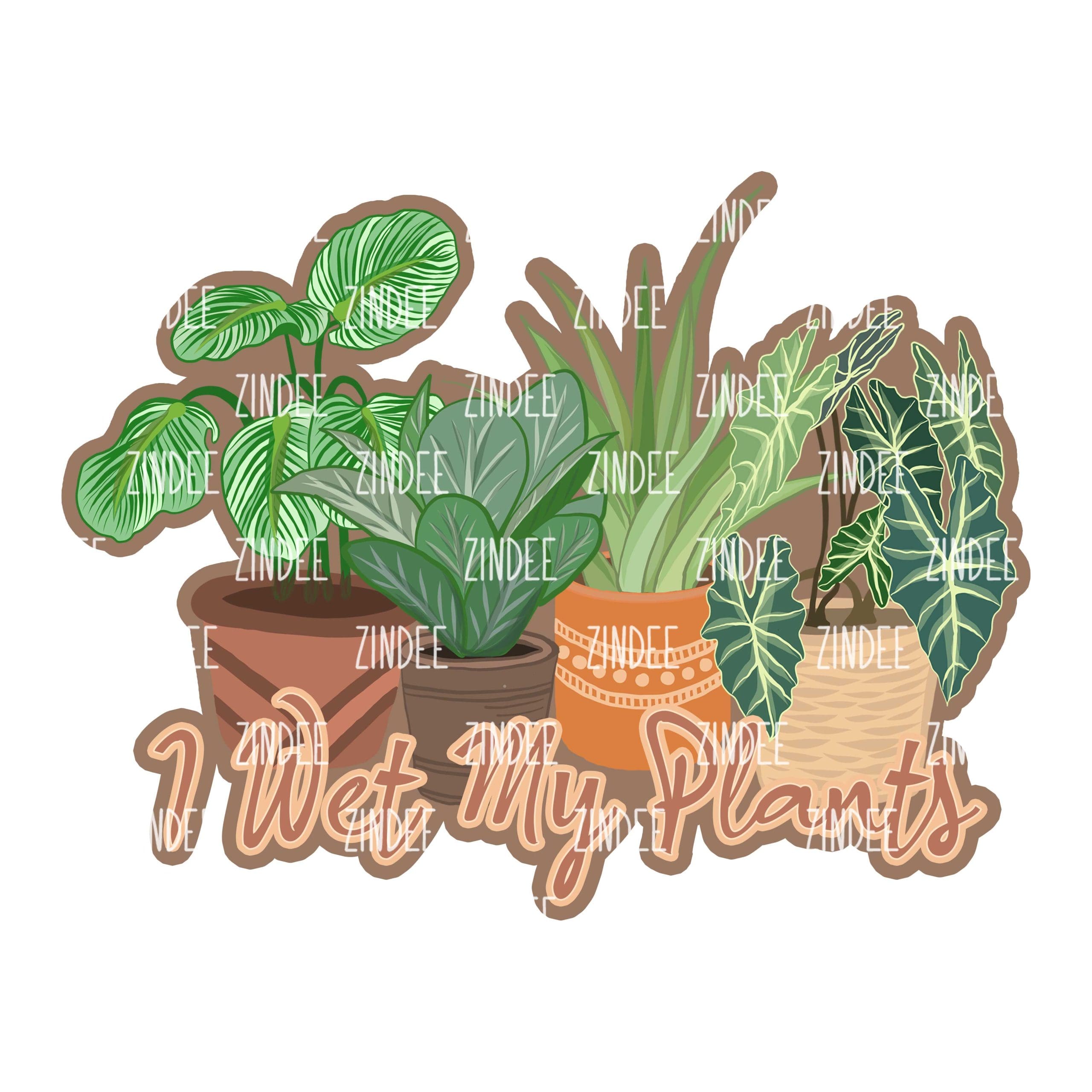 Wet My Plants (download)